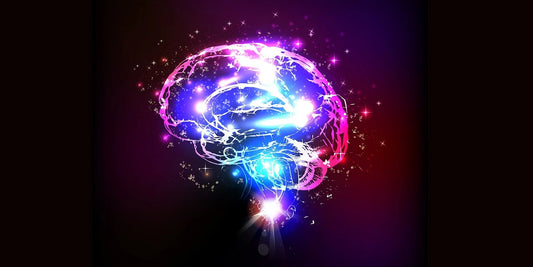 Plantas Medicinales para Cuidar tu Cerebro (Y Elegir la que Mejor se Adapte a Ti)