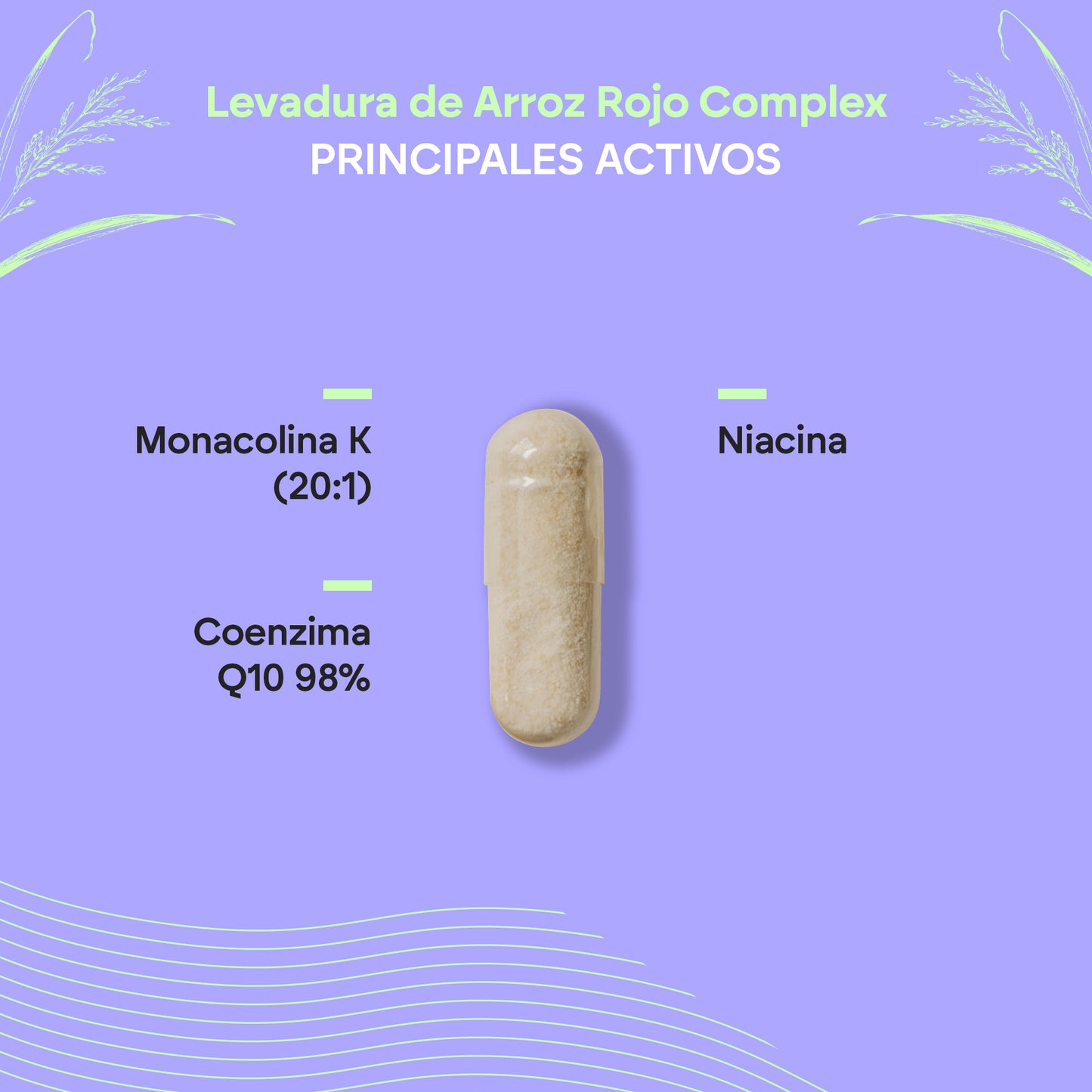 Red Yeast Rice Complex Nutralie – Apoyo natural para el colesterol