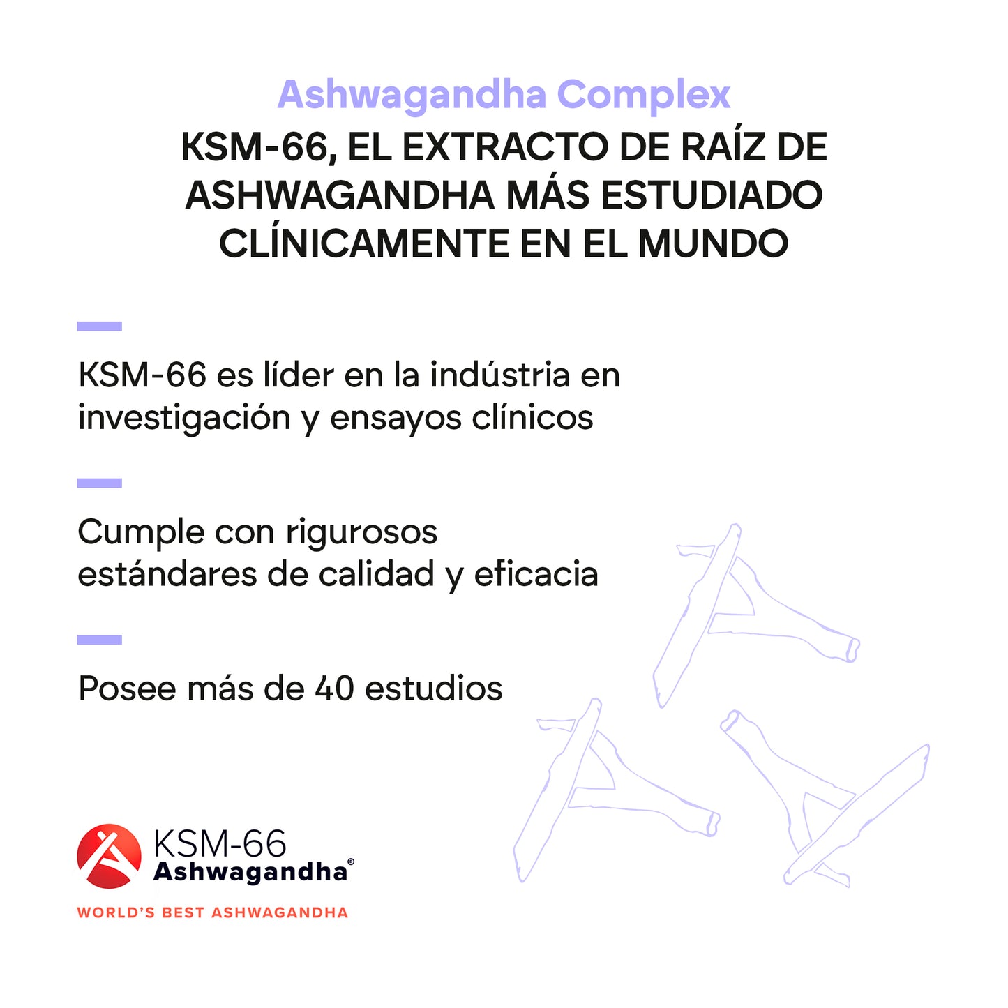 Ashwagandha Complex con Vitaminas B6 y B12 | Energía y Equilibrio Natural