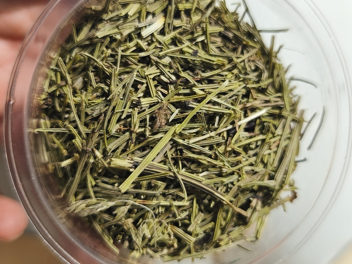 Cola de Caballo (Equisetum arvense) – Hoja cortada para infusión