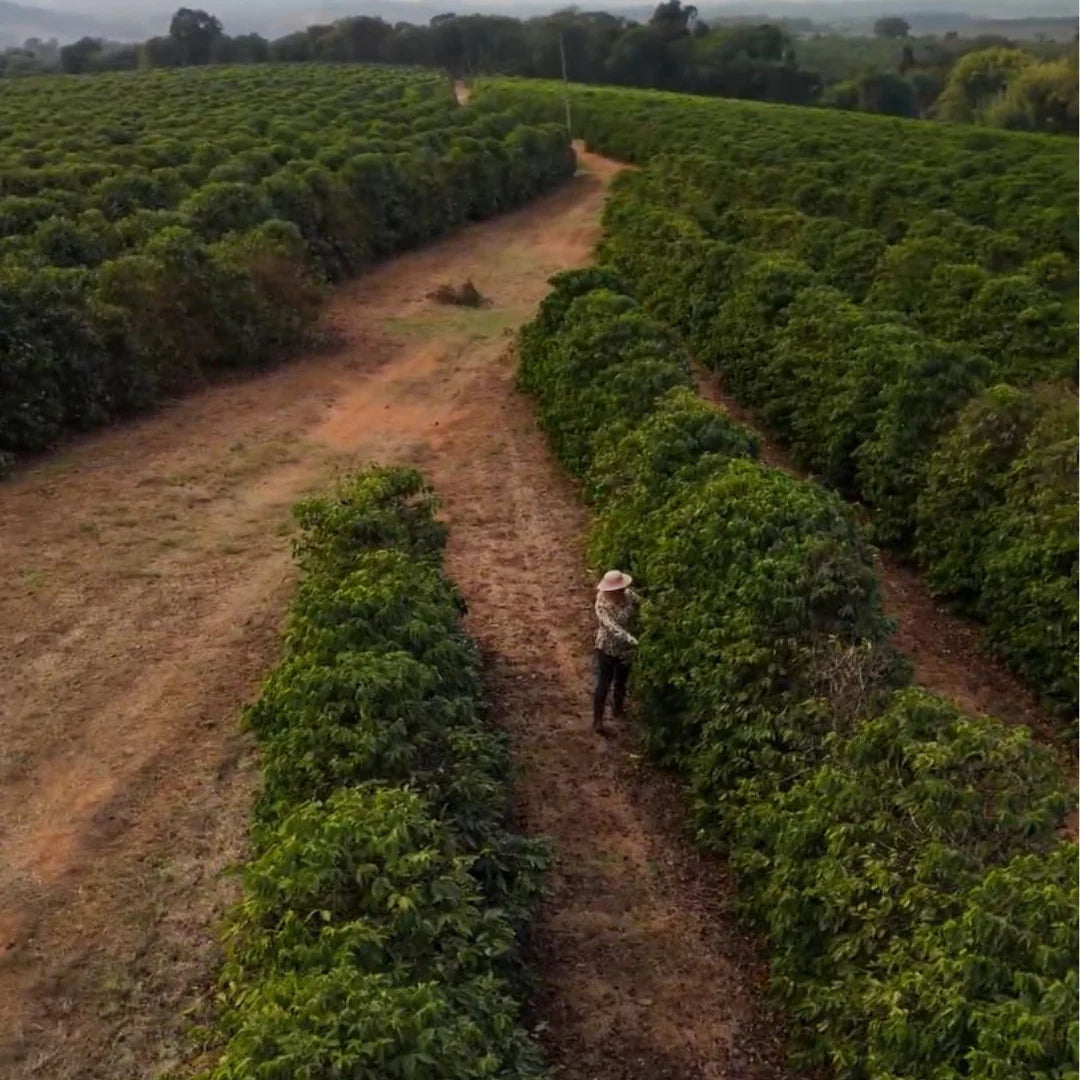 Café Natural Minas(Brasil) – Tradición familiar, notas de cacao y avellana (200 g)