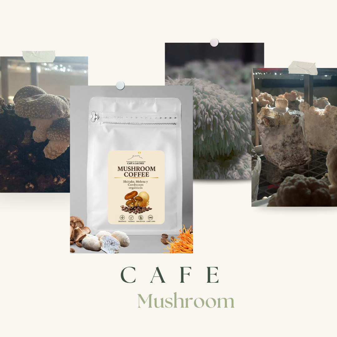 Café Mushroom Molido BIO - Energía natural y bienestar diario