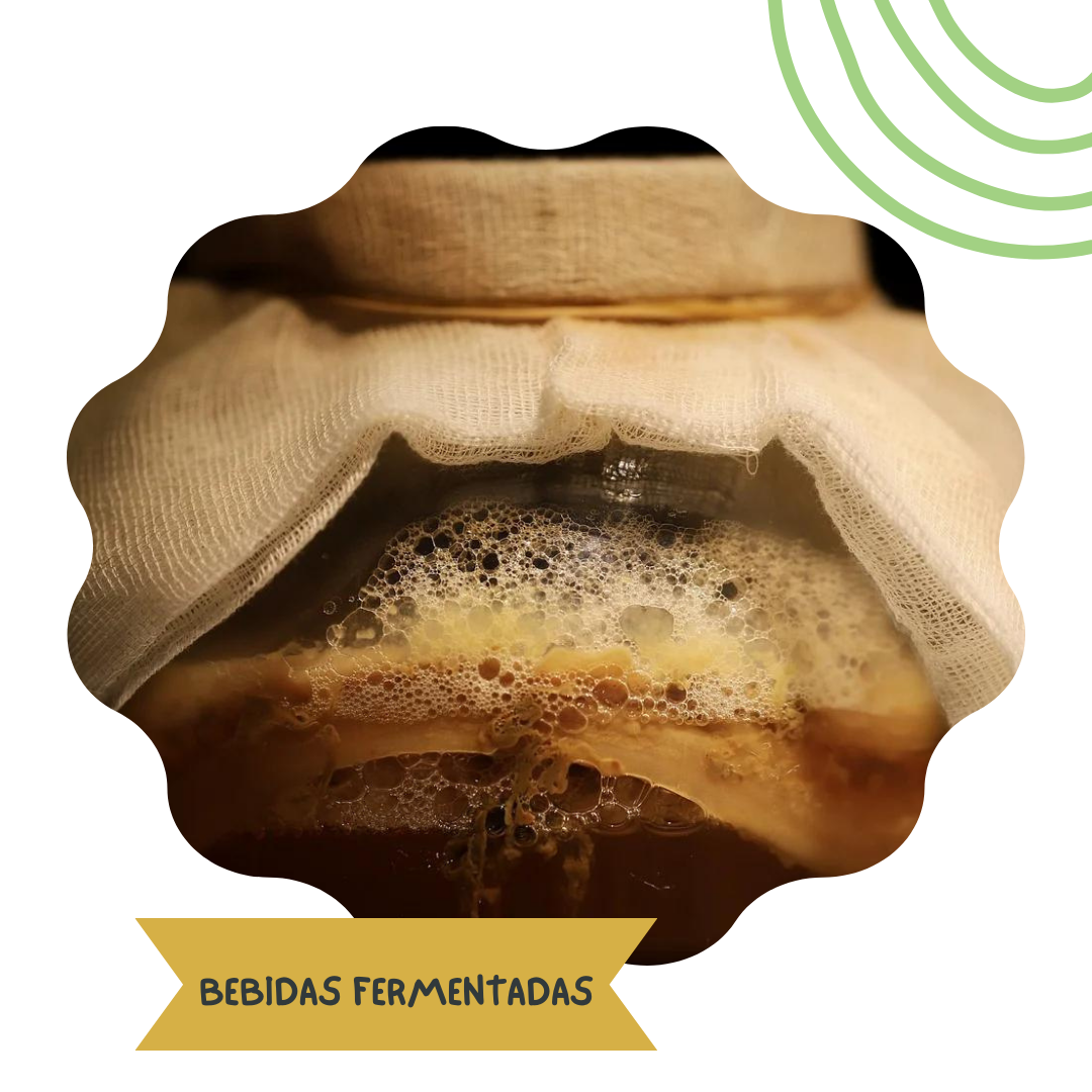 Las Bebidas Fermentadas: Un Viaje Natural Hacia el Bienestar