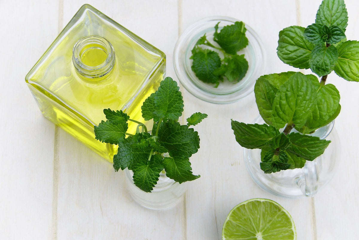 Apoyo Digestivo y Detoxificación