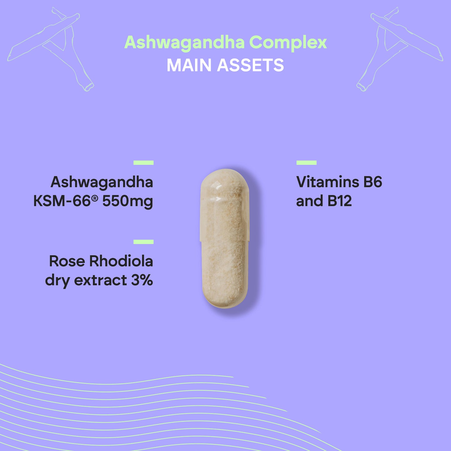 Ashwagandha Complex con Vitaminas B6 y B12 | Energía y Equilibrio Natural