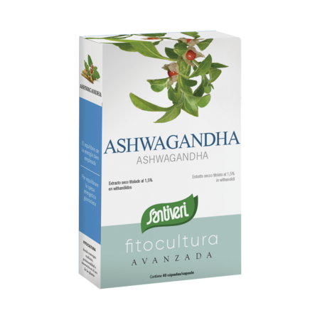 Ashwagandha 325 mg – Complemento Natural para Estrés, Energía y Bienestar