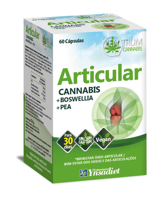 ARTICULAR 60 cápsulas – Bienestar óseo-articular con Cannabis y Boswellia