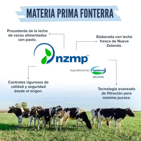 Proteína 100% Whey Protein Isolate (WPI), Sin Sabor | 100% Pura de Vacas de Pasto – 500gr