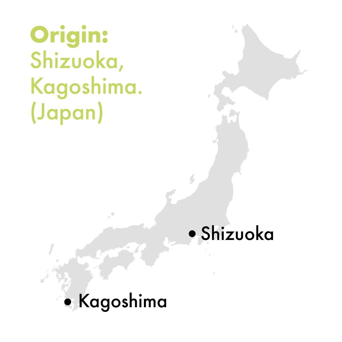 Japan Beginner’s Matcha BIO – Té verde japonés versátil 30 g