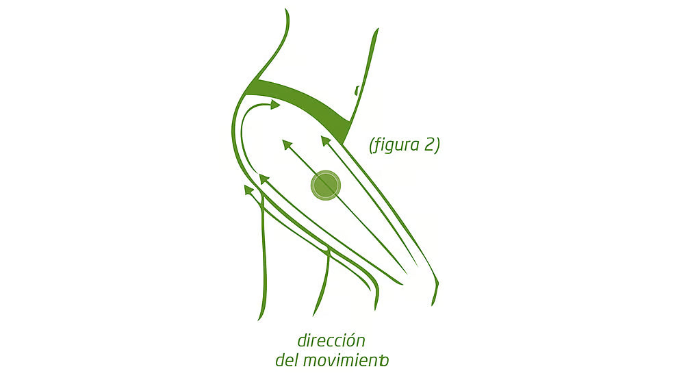 Aceite Anticelulítico de Abedul Weleda | Reafirma y Reduce la Celulitis